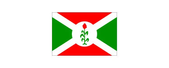 Нынешний государственный флаг страны созданный также на основе флага - фото 51