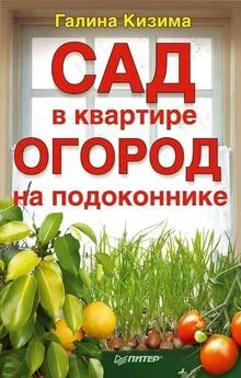 Галина Кизима - Сад в квартире, огород на подоконнике