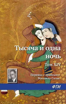 Эпосы, легенды и сказания - Тысяча и одна ночь. Том XIV