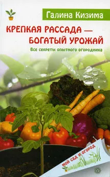 Галина Кизима - Крепкая рассада – богатый урожай. Все секреты опытного огородника