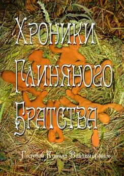 Кирилл Голубев - Хроники глиняного братства. Христианская сказка-притча для детей и взрослых