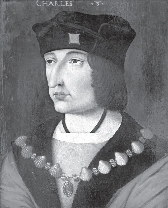 Неизвестный художник Портрет Карла VIII Французского Конец XV в Дерево - фото 6