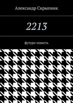 Александр Скрыпник - 2213. футуро-повесть