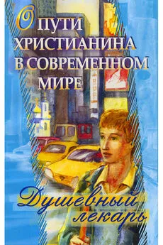 Дмитрий Семеник - Душевный лекарь. О пути христианина в современном мире