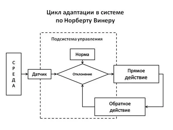 Рис 11 Цикл адаптации по Винеру В чем суть модели Система например живой - фото 2