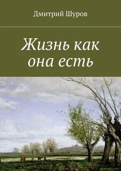 Дмитрий Шуров - Жизнь как она есть