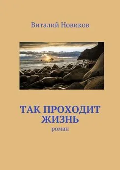 Виталий Новиков - Так проходит жизнь. роман