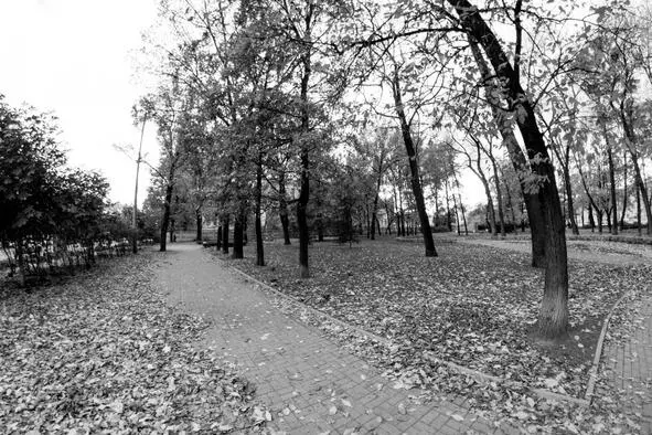 Петербург Москва Петербург Петербург Москва поезд Сапсан По делам в - фото 5