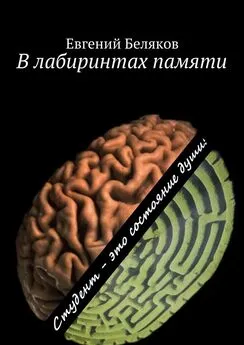 Евгений Беляков - В лабиринтах памяти. Студент – это состояние души!