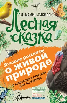 Дмитрий Мамин-Сибиряк - Лесная сказка. С вопросами и ответами для почемучек