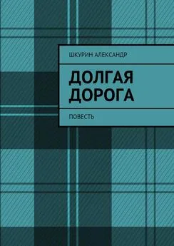 Александр Шкурин - Долгая дорога. Повесть