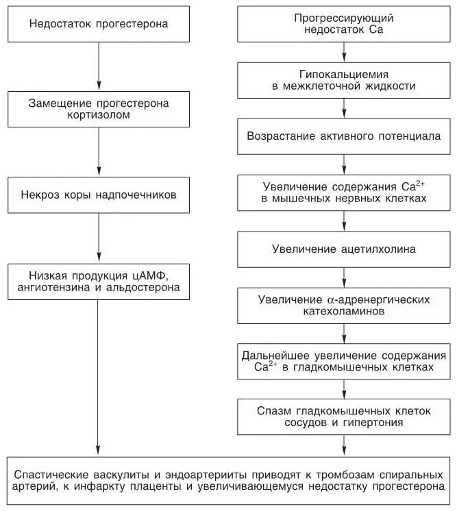 Рис 3 Схема патофизиологии гестоза во II половине беременности Парадокс - фото 3