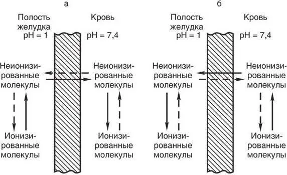 Рис 2 Направление пассивного сплошная стрелка транспорта лекарств кислого - фото 10