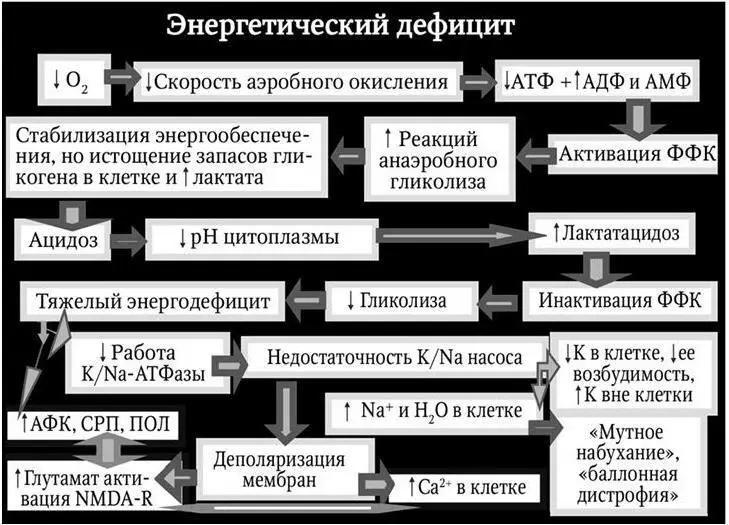 Рис 33 Начальный этап ишемического каскада при гипоксии избыток - фото 5
