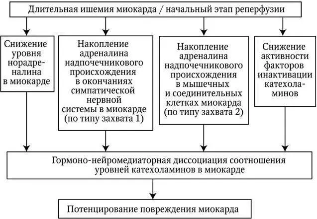 Схема 43 Механизмы формирования гормононейромедиаторной диссоциации - фото 12