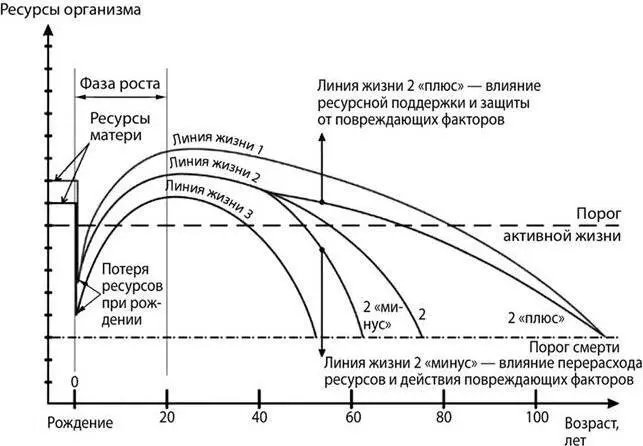 Рис 3 Качественная картина динамики состояния ресурсов организма в разном - фото 4