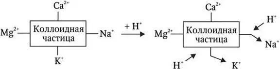 Рис 22 Ионный обмен на коллоидных частицах почвы катионы адсорбированные - фото 26