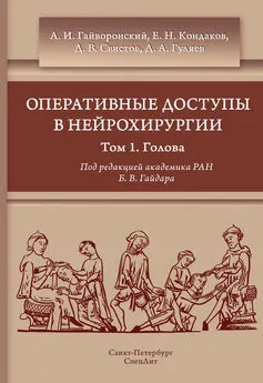 Коллектив авторов - Оперативные доступы в нейрохирургии. Том 1. Голова