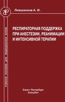 Анатолий Левшанков - Респираторная поддержка при анестезии, реанимации и интенсивной терапии