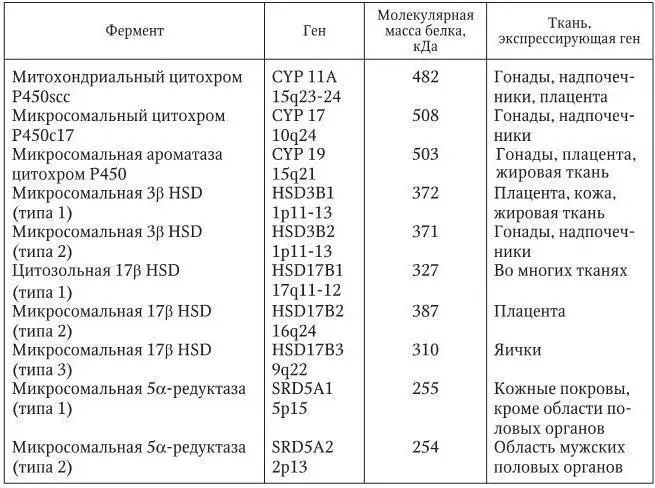 В клеткахмишенях урогенитальный синус должно быть достаточное количество - фото 4
