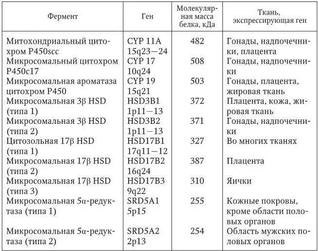 В клеткахмишенях урогенитальный синус должно быть достаточное количество - фото 3