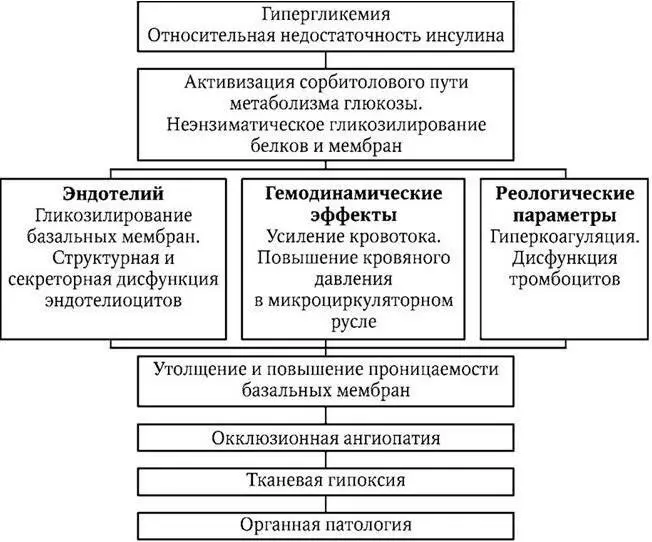 Схема 23 Патогенез диабетической микроангиопатии Дедов И И Фадеев В В - фото 13