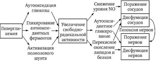 Схема 24 Механизмы отвечающие за увеличение продукции свободных радикалов и - фото 14