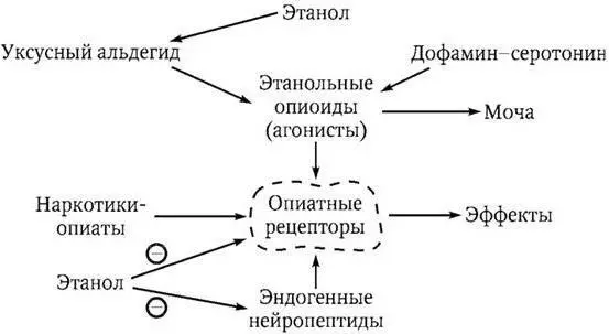 Схема 25 Наркотические эффекты этанола ингибирование Таким образом АПН - фото 17