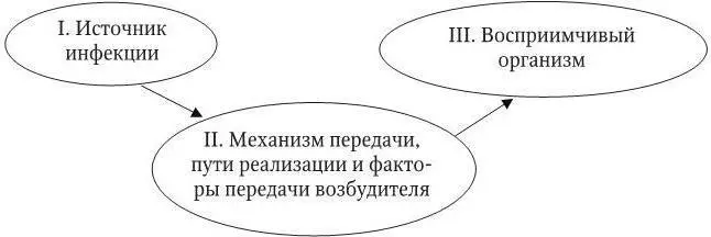 Рис 17 Эпидемическая цепочка распространения инфекционных заболеваний - фото 18