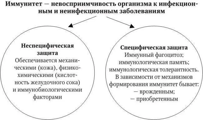 Рис 18 Факторы иммунитета Таким образом эпидемическая цепочка включает в - фото 20