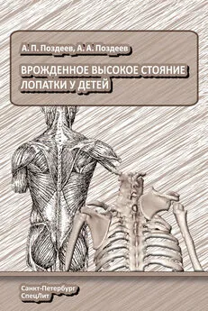 Андрей Поздеев - Врожденное высокое стояние лопатки у детей