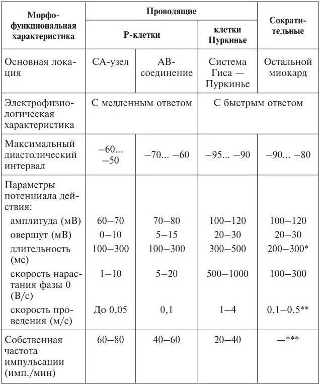 Длительность потенциала действия в предсердиях 100300 мс Скорость - фото 11