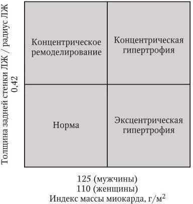 Рис 12 Типы ремоделирования левого желудочка Диагностика патологии почек и - фото 9