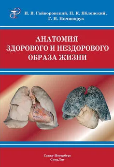 Петр Яблонский - Анатомия здорового и нездорового образа жизни атлас