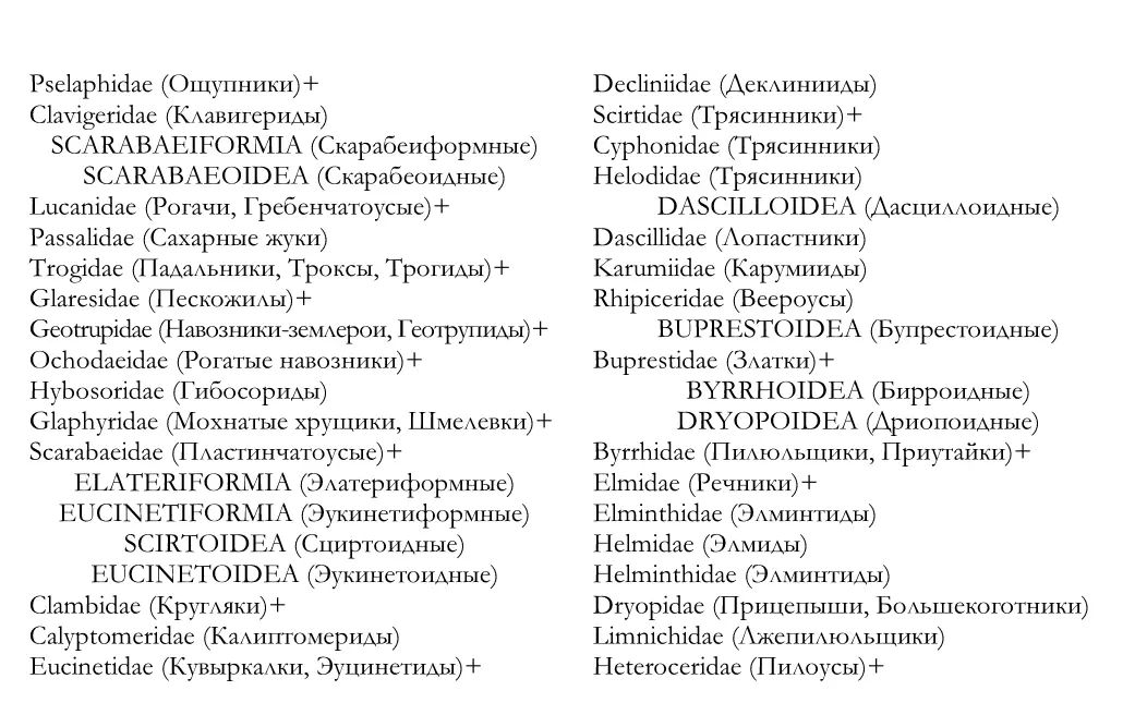 Кадастр жесткокрылых насекомых insecta coleoptera Предкавказья и сопредельных территорий - фото 3