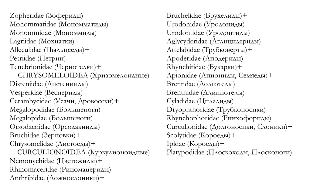 Ниже показаны родственные связи изестных на настоящее время семейств отряда - фото 8