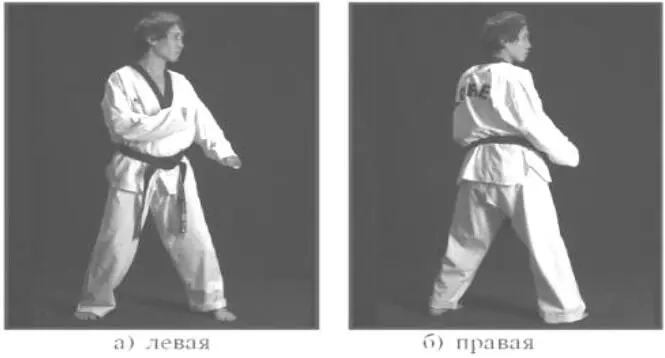 Рис 1 Стойки в проекции на горизонтальную плоскость В биомеханическом аспекте - фото 1