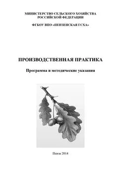 Коллектив авторов - Производственная практика. Программа и методические указания