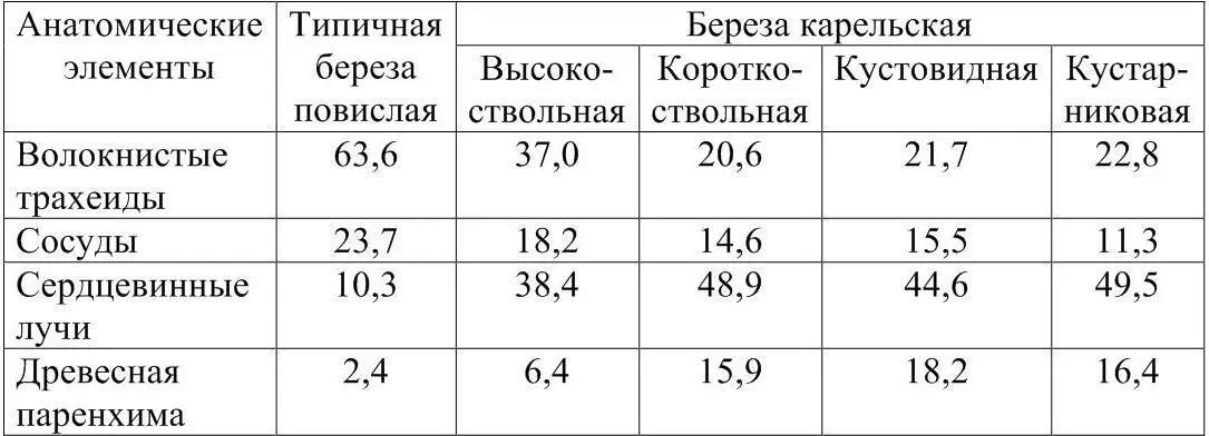 По степени выраженности ствола у березы карельской выделяют четыре группы - фото 9