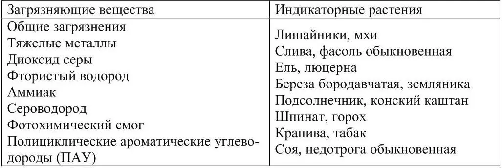 Аккумулирующие растения растения способные накапливать загрязняющие вещества - фото 3