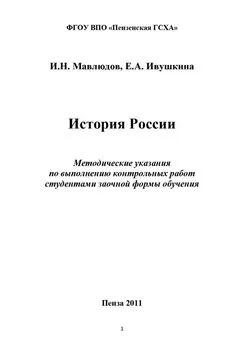 Ильдар Мавлюдов - История России