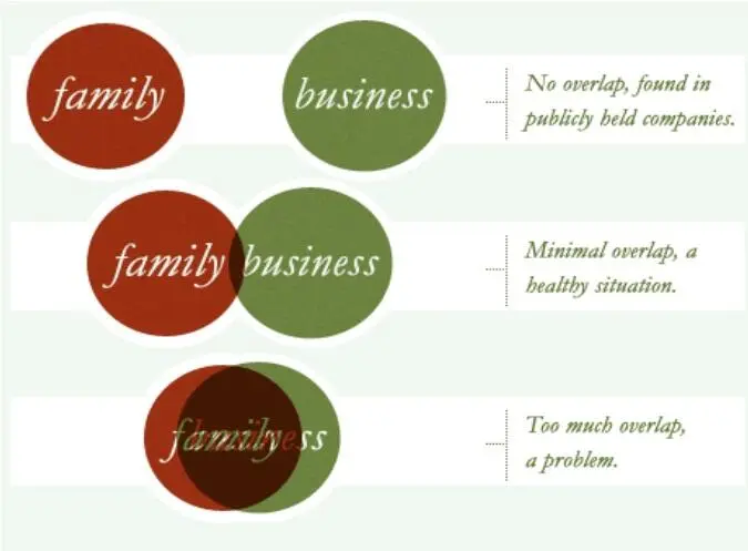 The overlap of family concerns and business interests in the family firm - фото 3