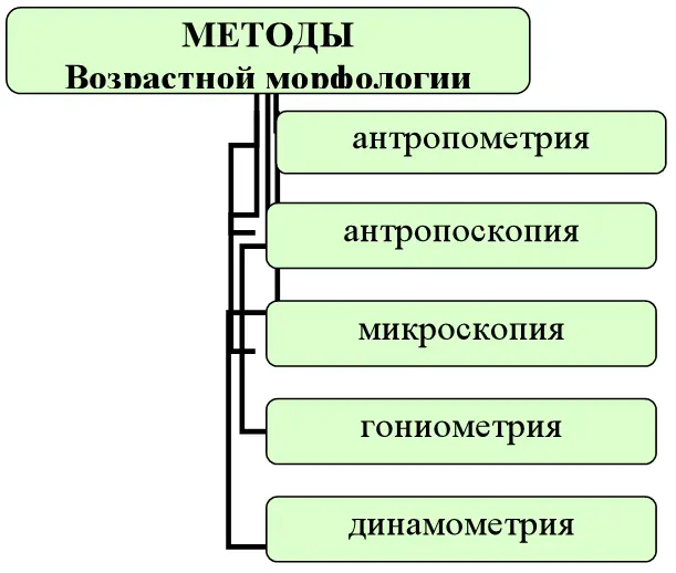 По способу подбора испытуемых выделяют два варианта исследования - фото 1