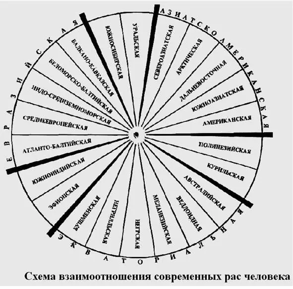 По общности языка территории экономической жизни психического склада людей - фото 6