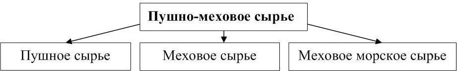 Рисунок 3 Виды пушномехового сырья Пушномеховое сырье в России традиционно - фото 3