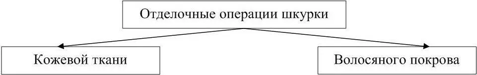 Рисунок 28 Отделочные операции шкурки Отделка кожевой ткани придает - фото 35