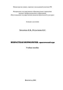 Елена Зубарева - Возрастная морфология: практический курс