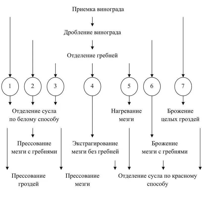 Рисунок 2 Технологические схемы переработки винограда Технологии переработки - фото 2