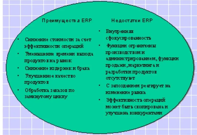Рис 113 Преимущества и недостатки ERP Одной из последних тенденций в - фото 4
