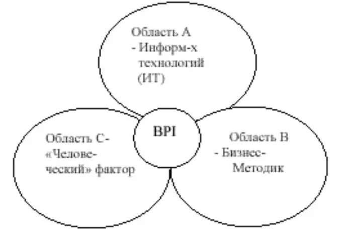 Рис 124 Области знаний позволяющие успешно применять BPI Область А - фото 28